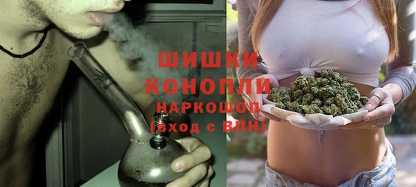 2c-b Ельня