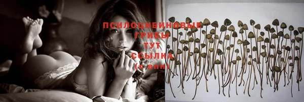 герыч Елабуга