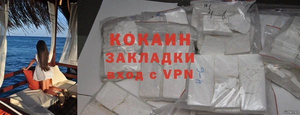 2c-b Ельня