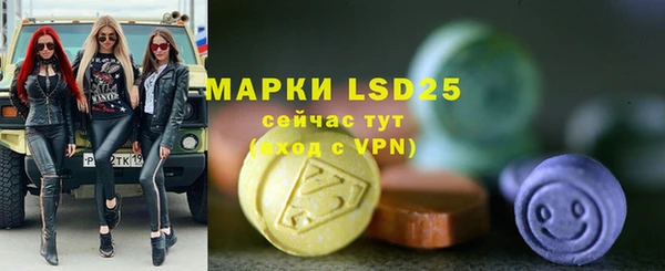 2c-b Ельня