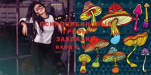 2c-b Ельня