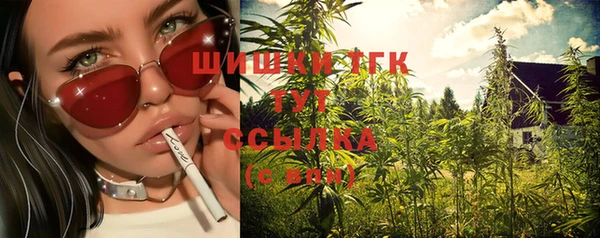2c-b Ельня