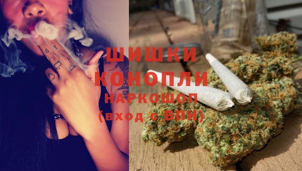 2c-b Ельня