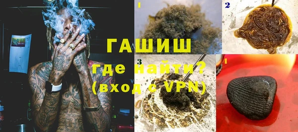 2c-b Ельня