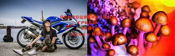 2c-b Ельня