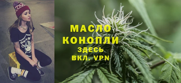 2c-b Ельня