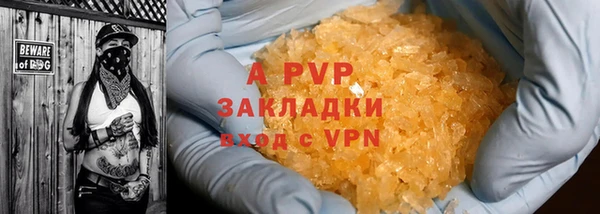 2c-b Ельня